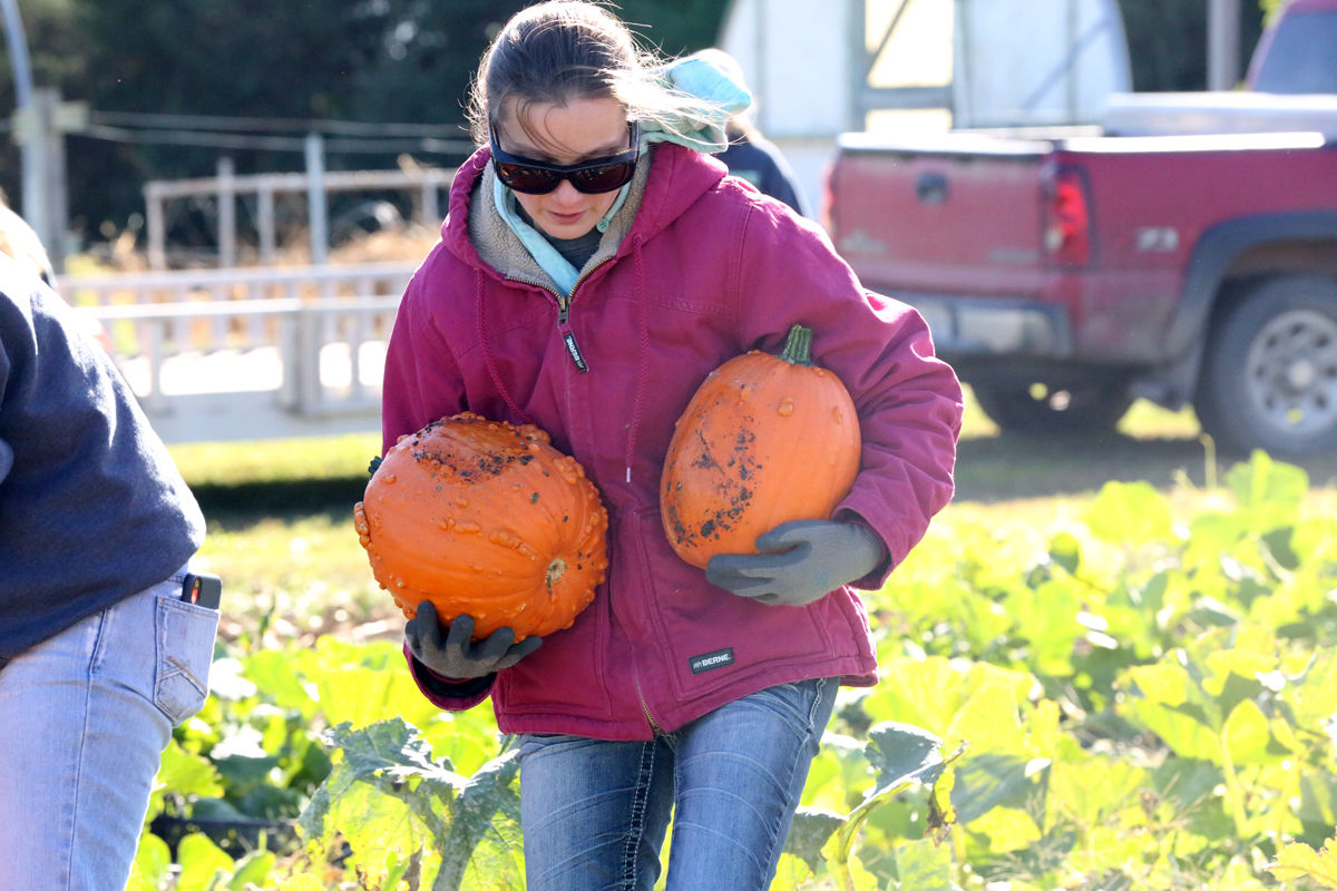 St Joseph Pumpkin Patch (15).jpg